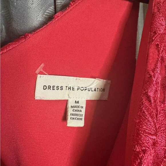 Dress the Population Audrey Dress Begonia Floral Accent 3D - Picture 5 of 8